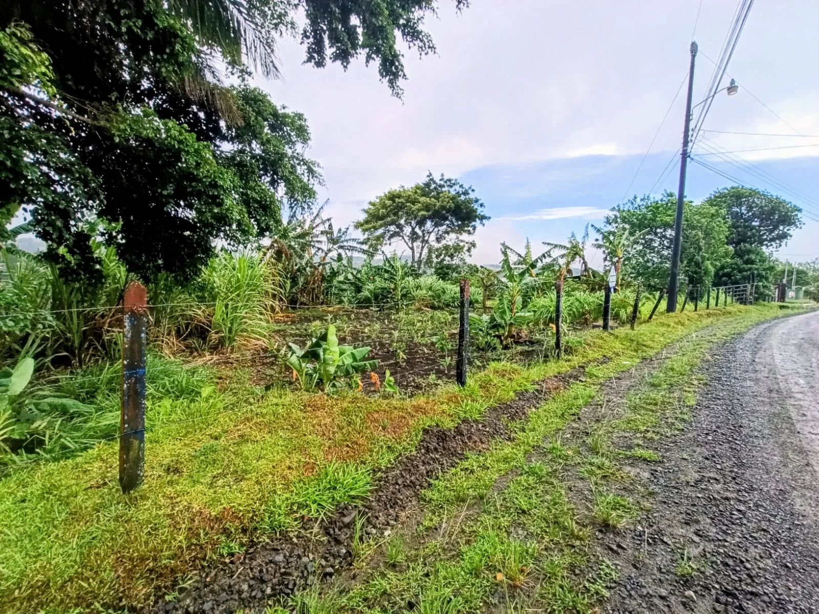 Exclusive Lake View Lot 1499 m2 in Península 1 – Tronadora photo 2