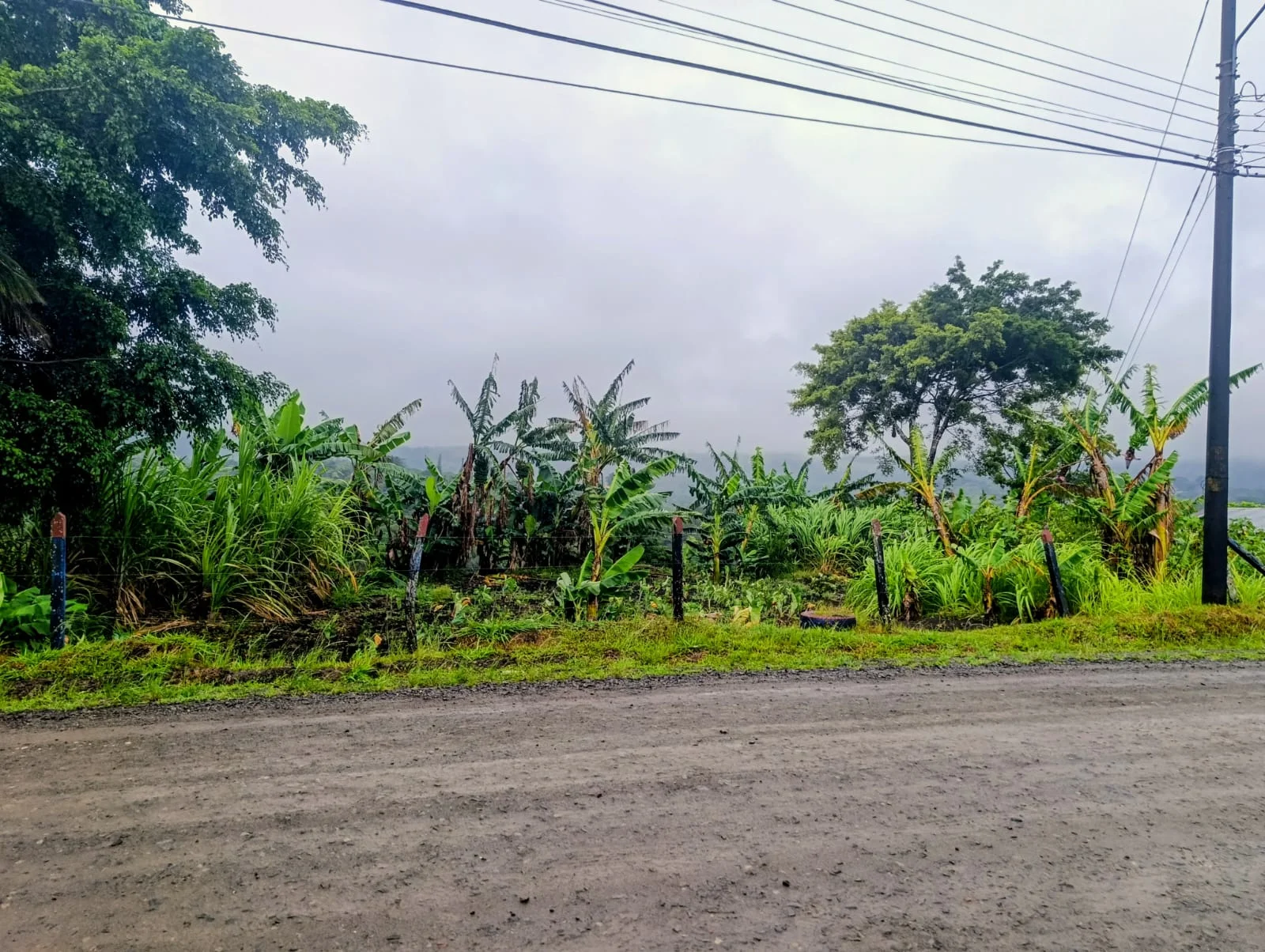 Exclusive Lake View Lot 1499 m2 in Península 1 – Tronadora  photo 3