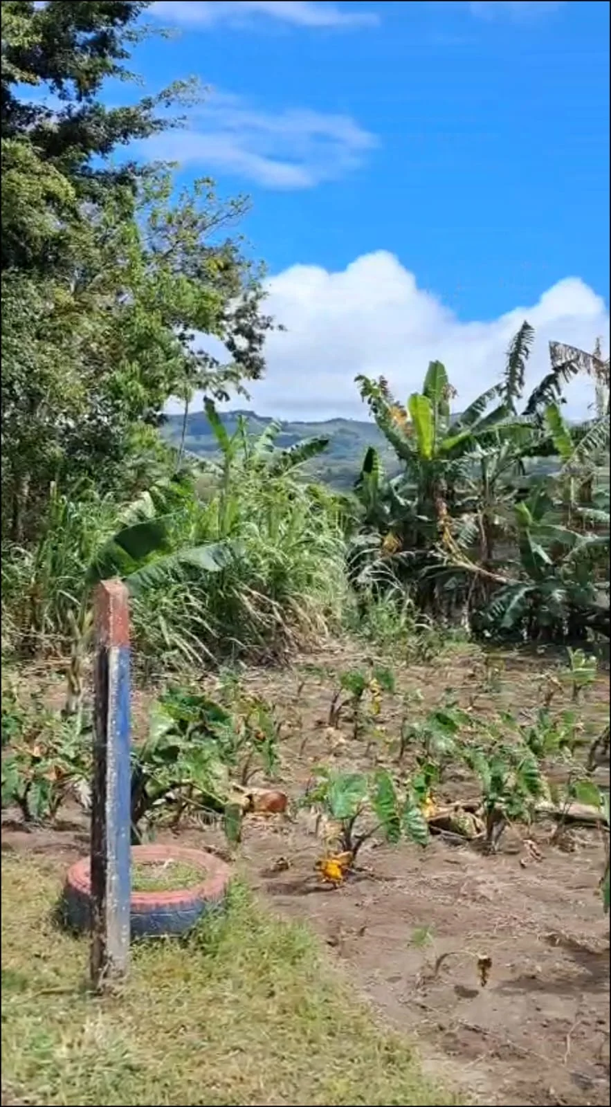 Exclusive Lake View Lot 1499 m2 in Península 1 – Tronadora photo 5