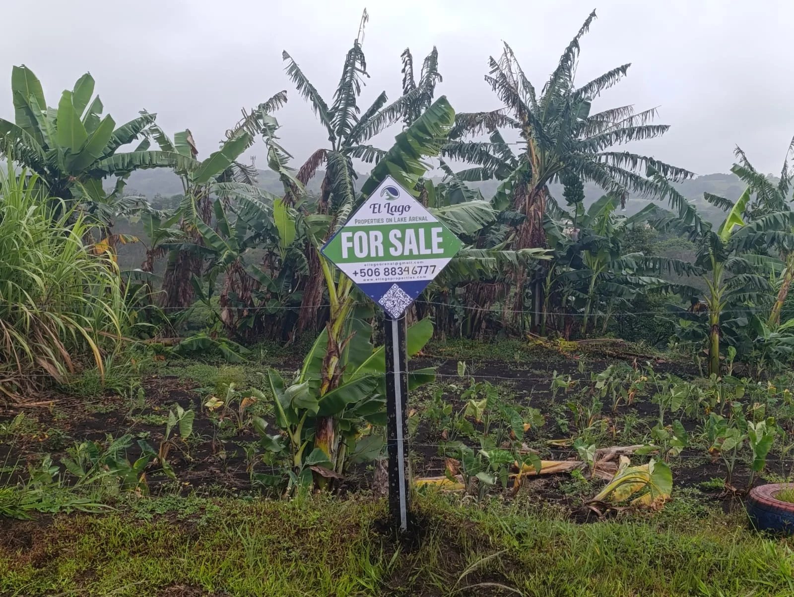Exclusive Lake View Lot 1499 m2 in Península 1 – Tronadora  photo 4