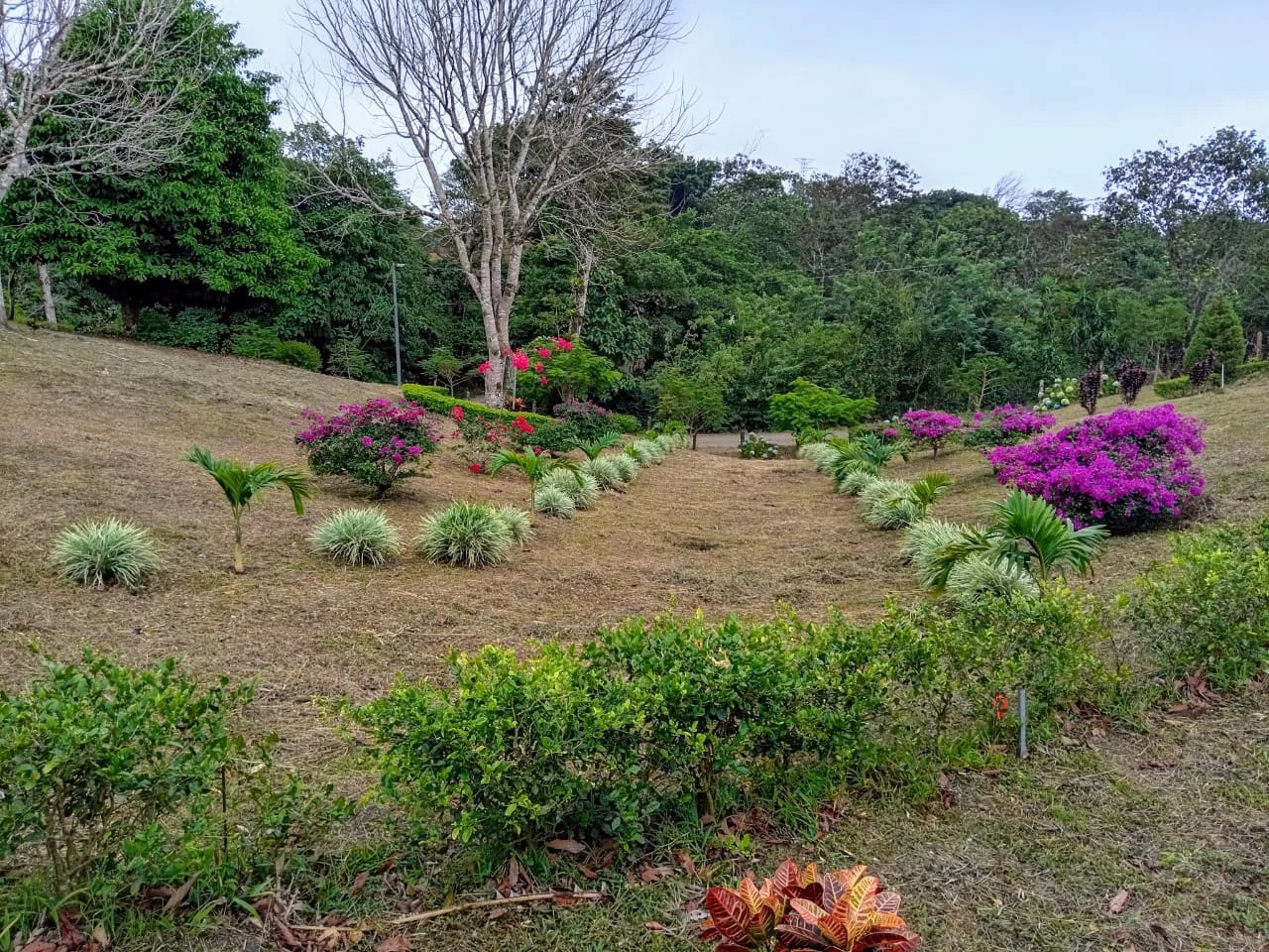 Mountain & Forest View Lot 4365 M2 with Natural Spring –Tilarán - 2