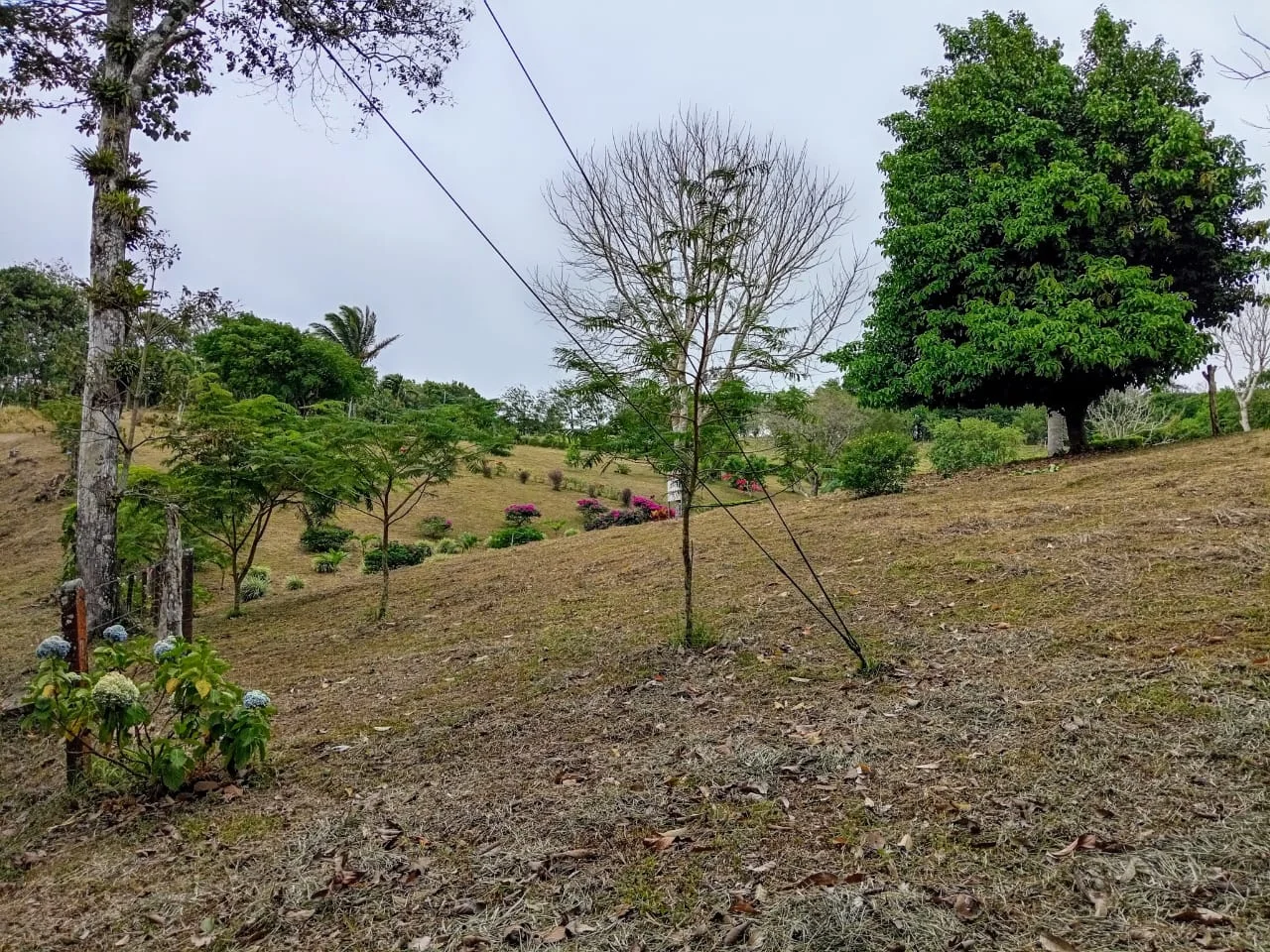 Mountain & Forest View Lot 4365 M2 with Natural Spring –Tilarán - 3