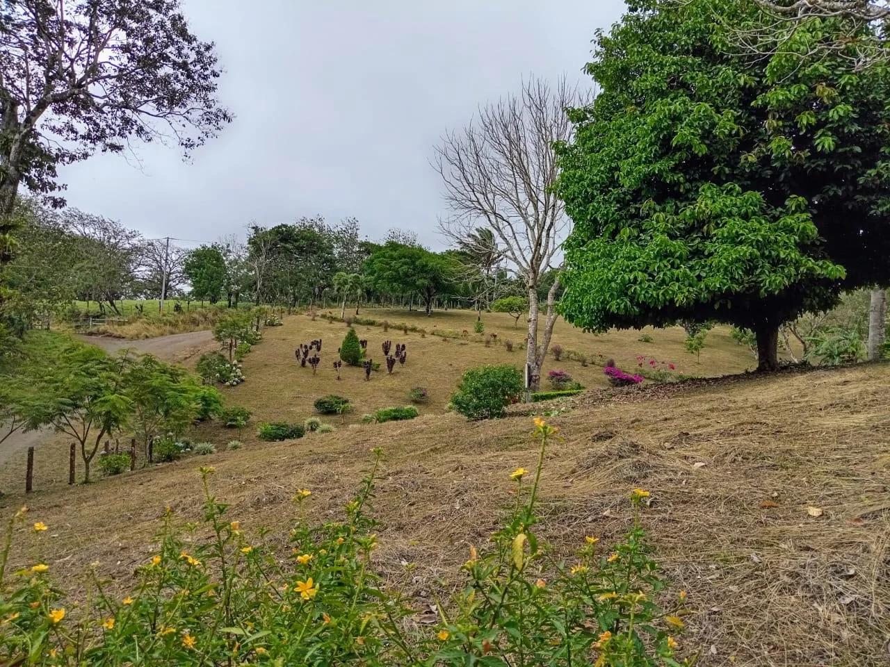 Mountain & Forest View Lot 4365 M2 with Natural Spring –Tilarán - 5