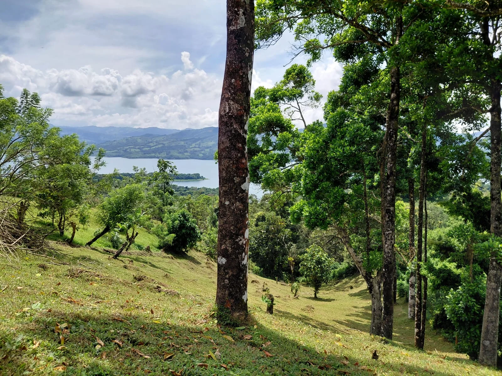 Scenic Lake View Lot 5,392 m² (1.33 acres) in Nuevo Arenal - 3