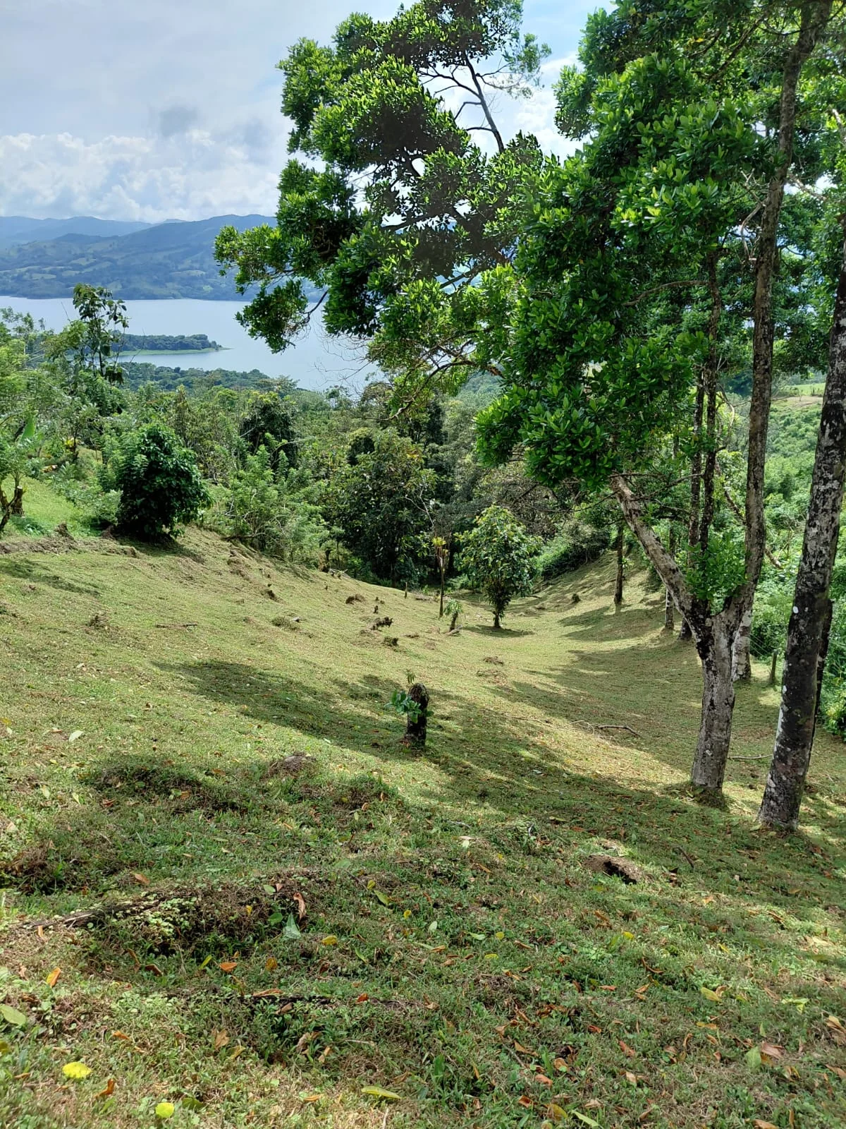 Scenic Lake View Lot 5,392 m² (1.33 acres) in Nuevo Arenal - 5