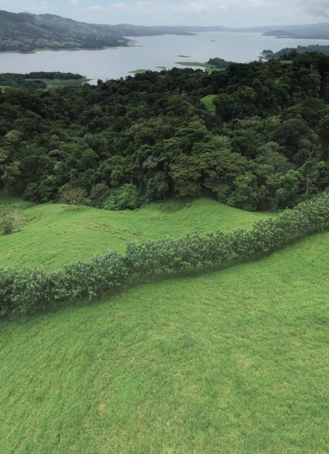86-Acre Lake, Volcano & Mountain View Estate with Natural Springs – Nuevo Arenal photo 5
