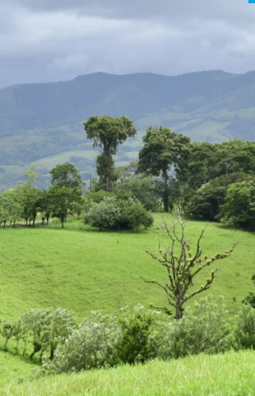 86-Acre Lake, Volcano & Mountain View Estate with Natural Springs – Nuevo Arenal photo 4