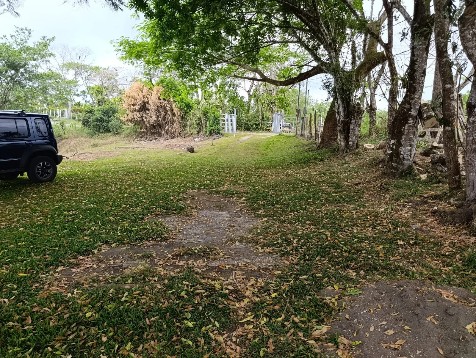 Investment Opportunity – Natural Retreat in Exclusive Península 1, Tronadora photo 2