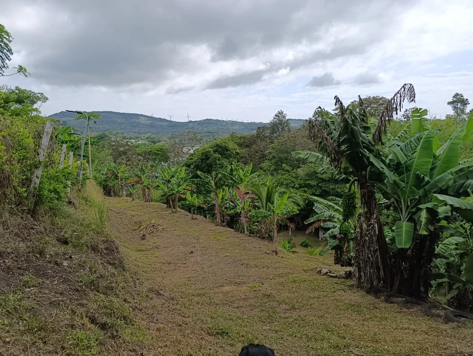 Investment Opportunity – Natural Retreat in Exclusive Península 1, Tronadora photo 1