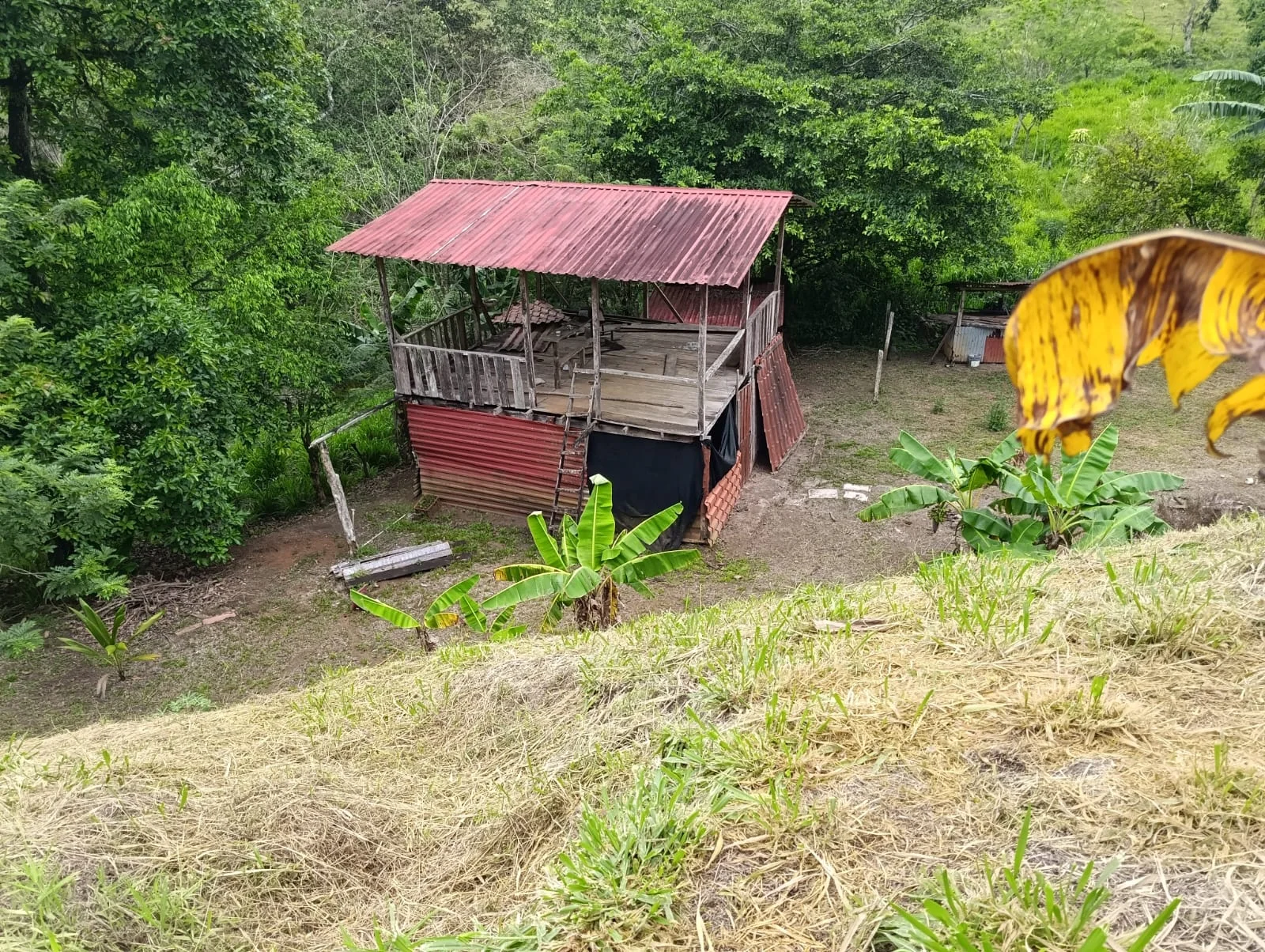 Investment Opportunity – Natural Retreat in Exclusive Península 1, Tronadora photo 4
