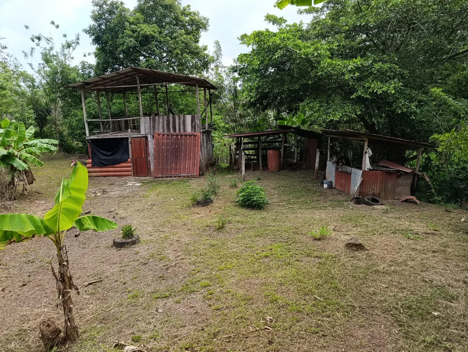 Investment Opportunity – Natural Retreat in Exclusive Península 1, Tronadora photo 5