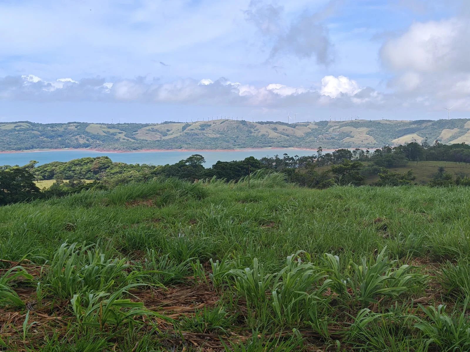 Tranquil 0.55-Acre Lot with Stunning Lake Arenal & Mountain Views - 3