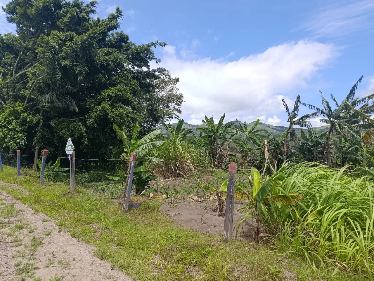 Exclusive Lake View Lot 1499 m2 in Península 1 – Tronadora photo 3