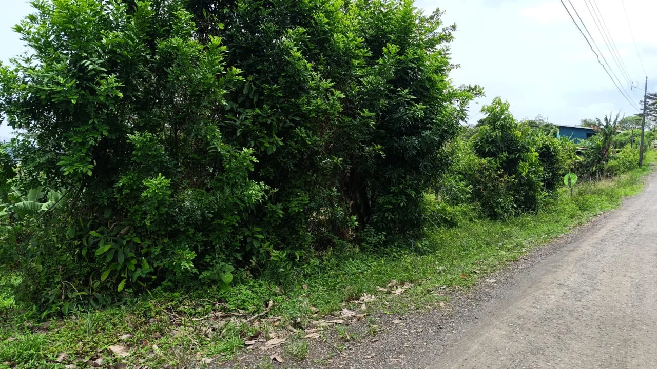 Peninsula One Estates – 0.35 Acres of Lake & Mountain Views in Peninsula 1 photo 5