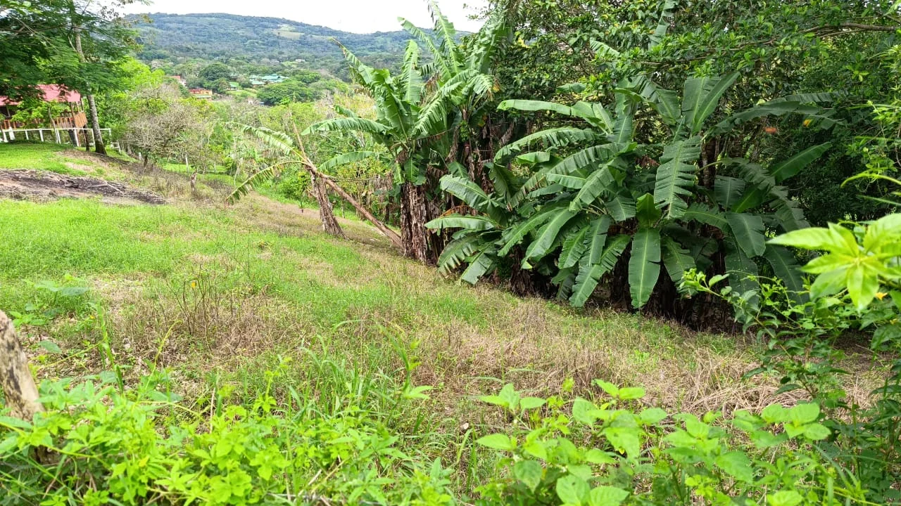 Peninsula One Estates – 0.35 Acres of Lake & Mountain Views in Peninsula 1 photo 4