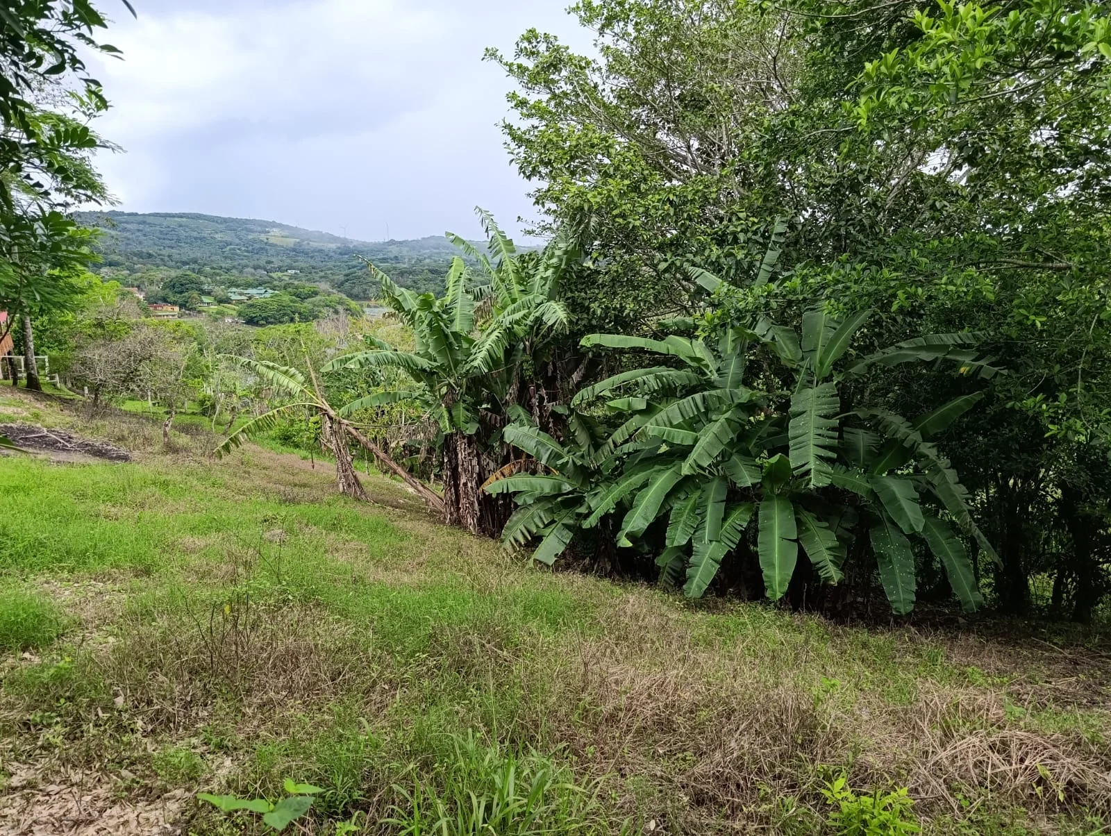 Peninsula One Estates – 0.35 Acres of Lake & Mountain Views in Peninsula 1 photo 1