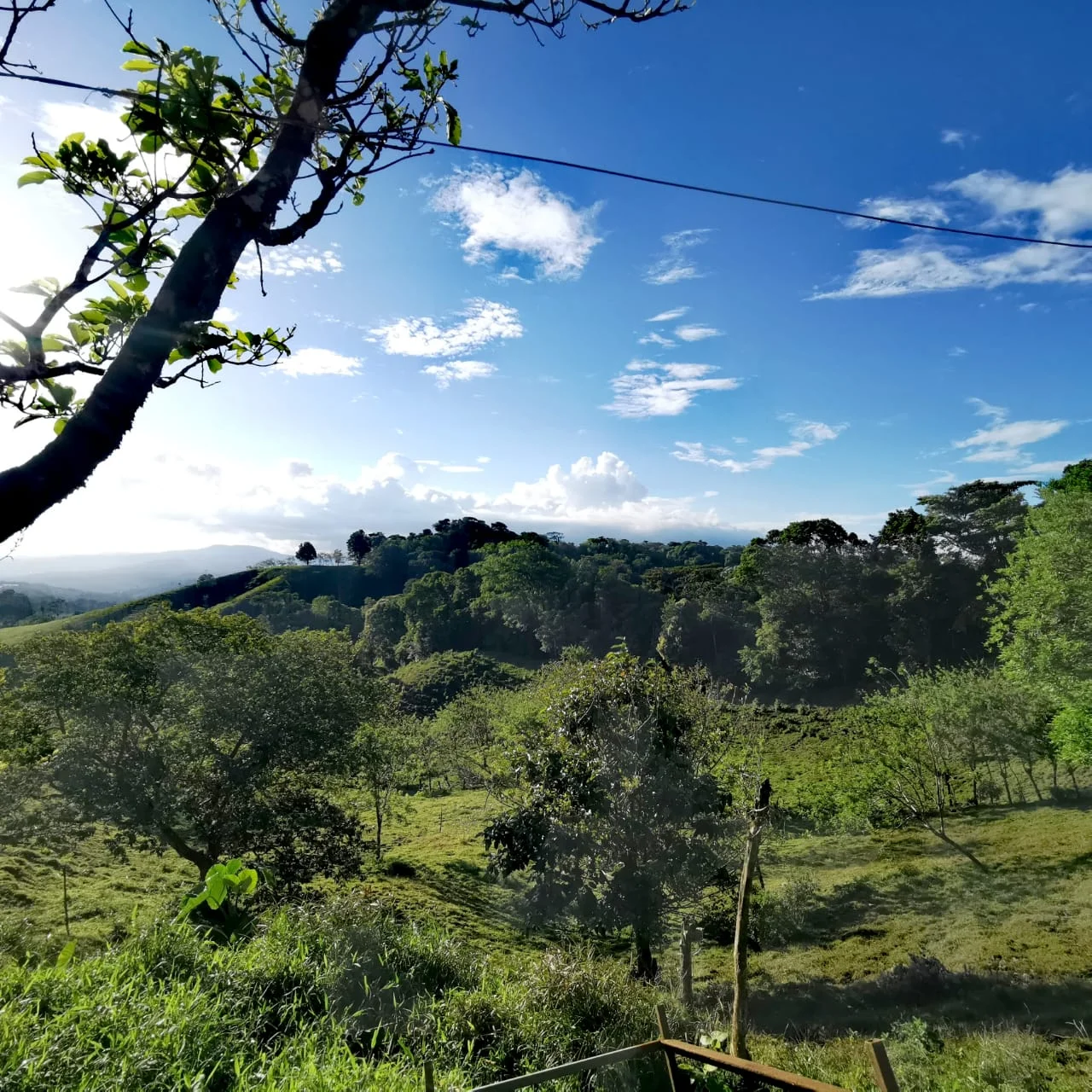 Spectacular 27.44-Acre Farm with Lake, Volcano & Mountain Views – Mata de Caña - 5