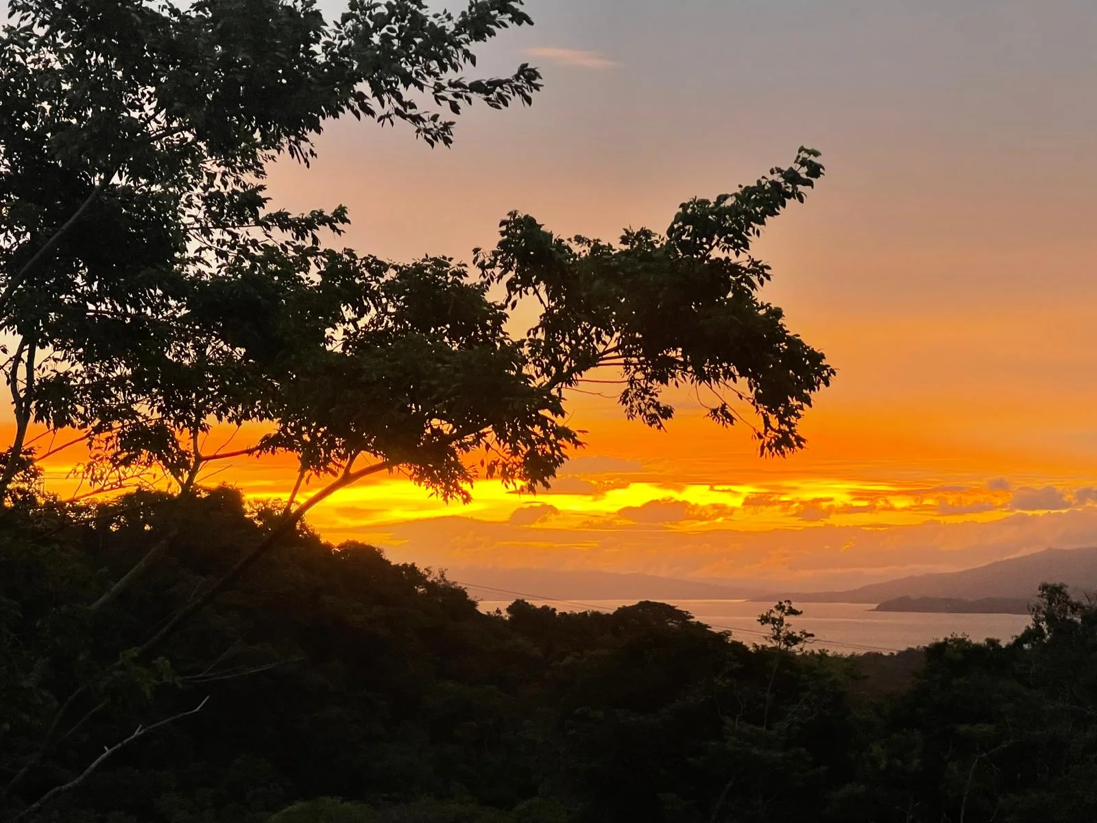 Private & Furnished 2BD/1BA Lake View Home on 1.27 Acres photo 13