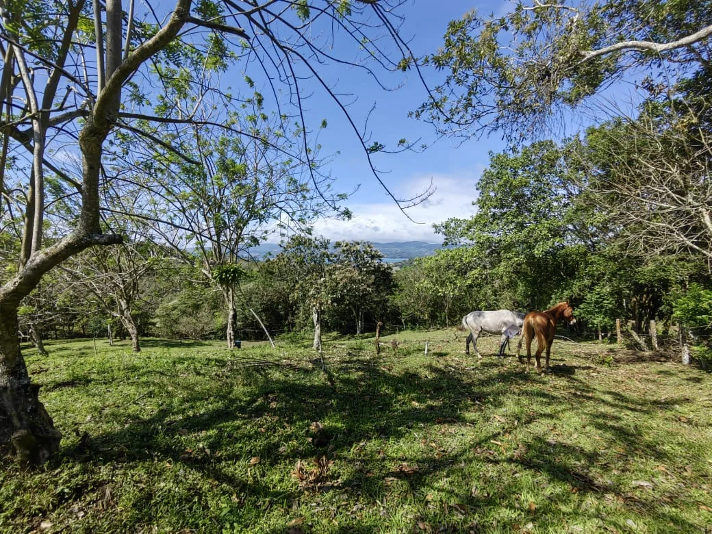 Beautiful 5000 M2 (1.25 acres) Lot in Tronadora,    Tilarán photo 3