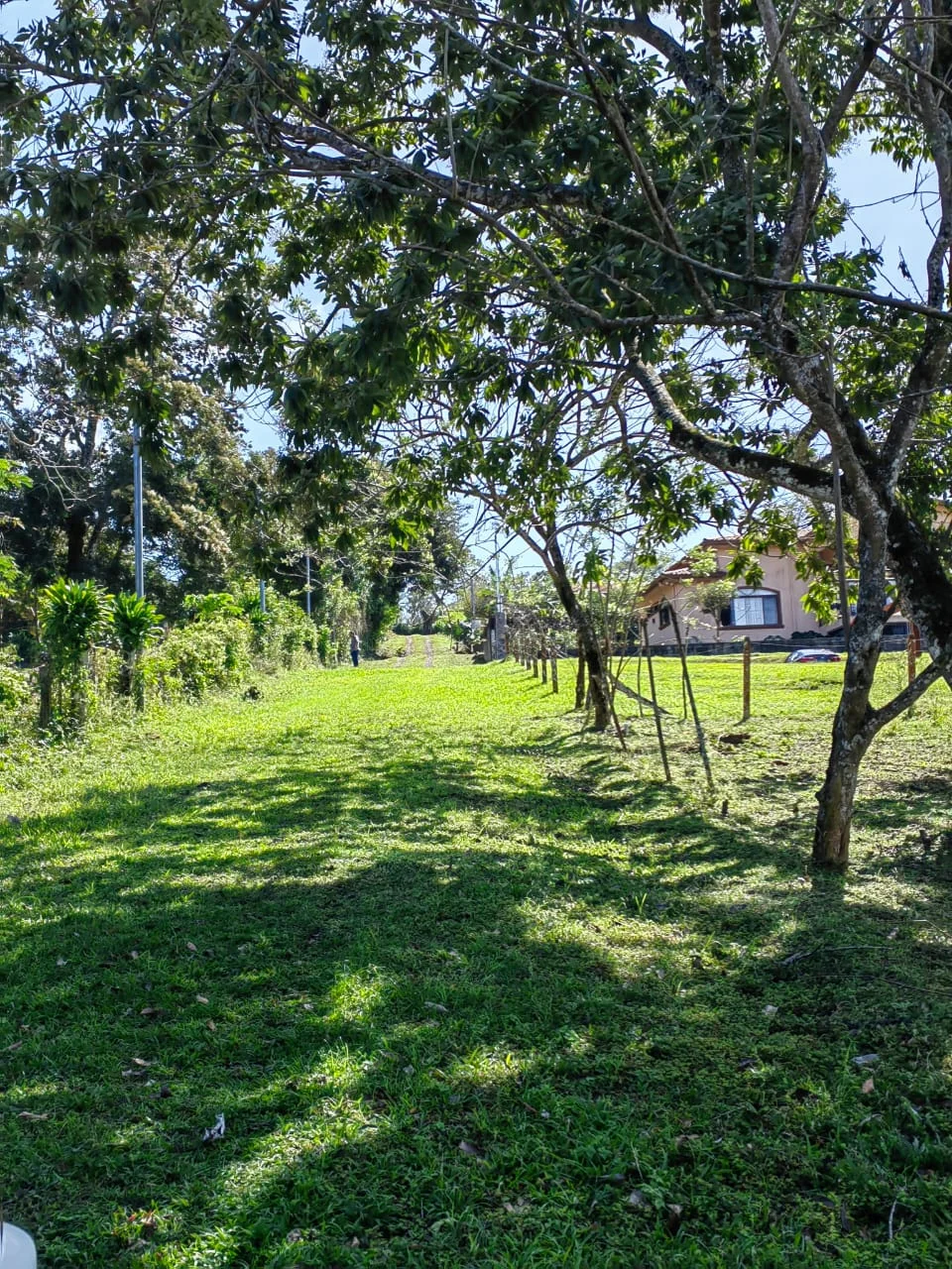 Beautiful 5000 M2 (1.25 acres) Lot in Tronadora,    Tilarán photo 4