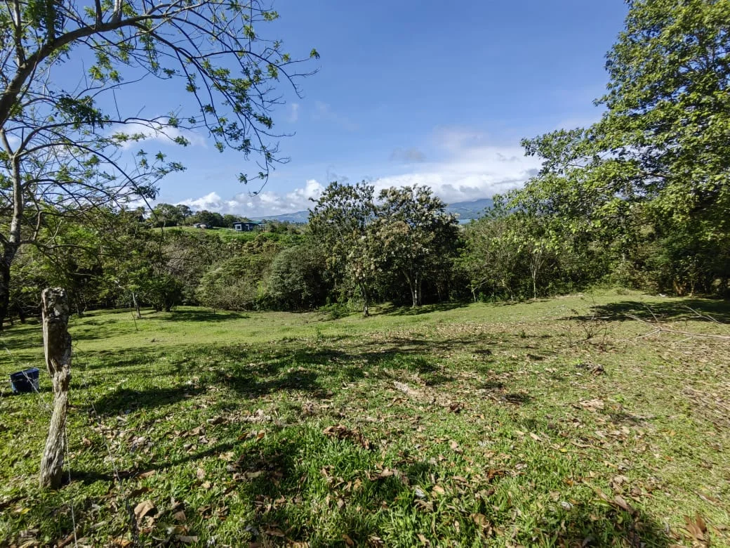 Beautiful 5000 M2 (1.25 acres) Lot in Tronadora,    Tilarán photo 5