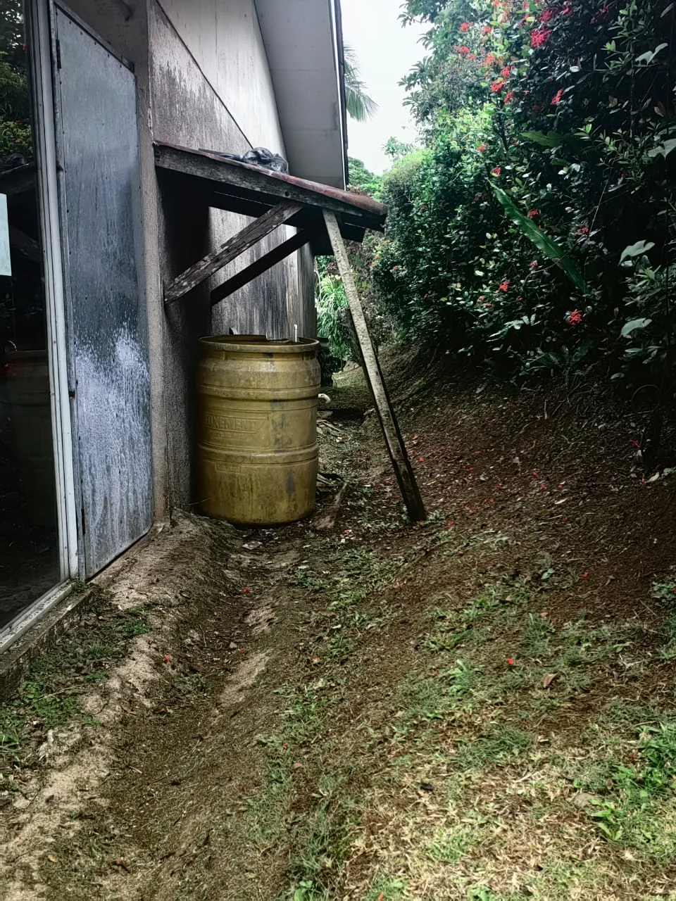 Comercial Space + 3BD 1 BA Home + 1BD 1BA Apartment in Nuevo Arenal photo 27