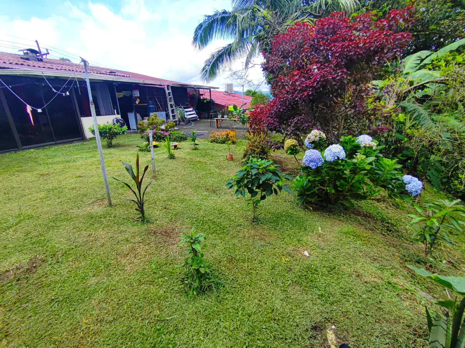 Comercial Space + 3BD 1 BA Home + 1BD 1BA Apartment in Nuevo Arenal photo 29