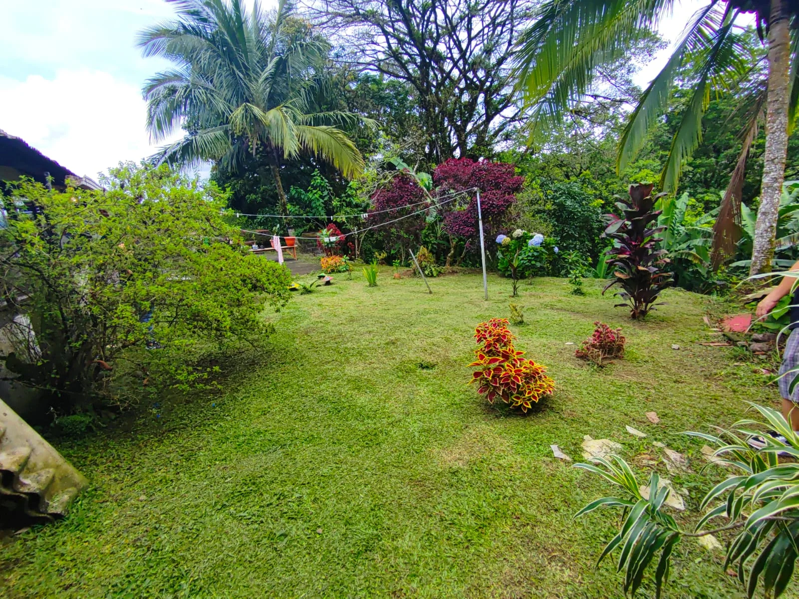 Comercial Space + 3BD 1 BA Home + 1BD 1BA Apartment in Nuevo Arenal photo 30