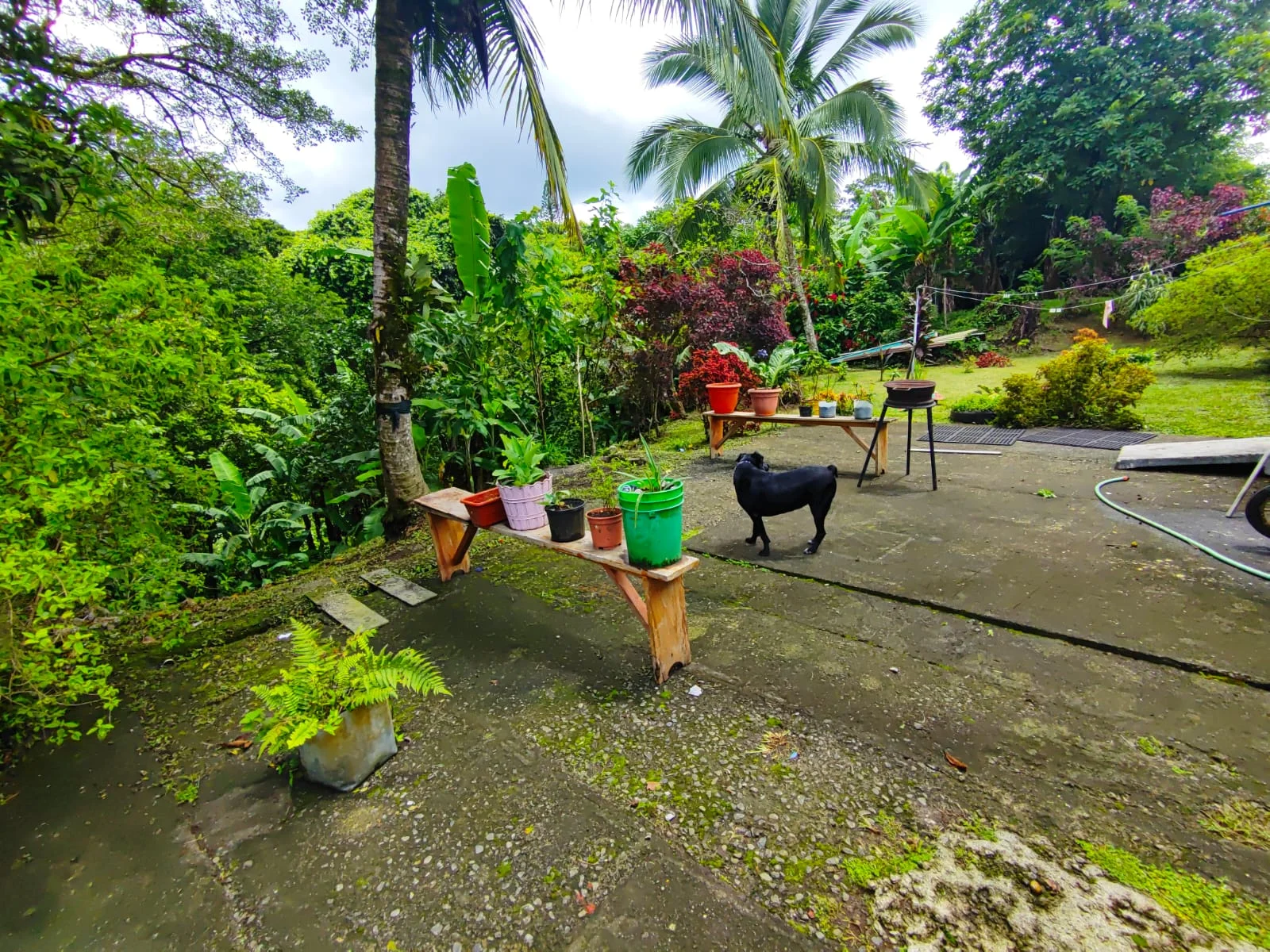 Comercial Space + 3BD 1 BA Home + 1BD 1BA Apartment in Nuevo Arenal photo 31