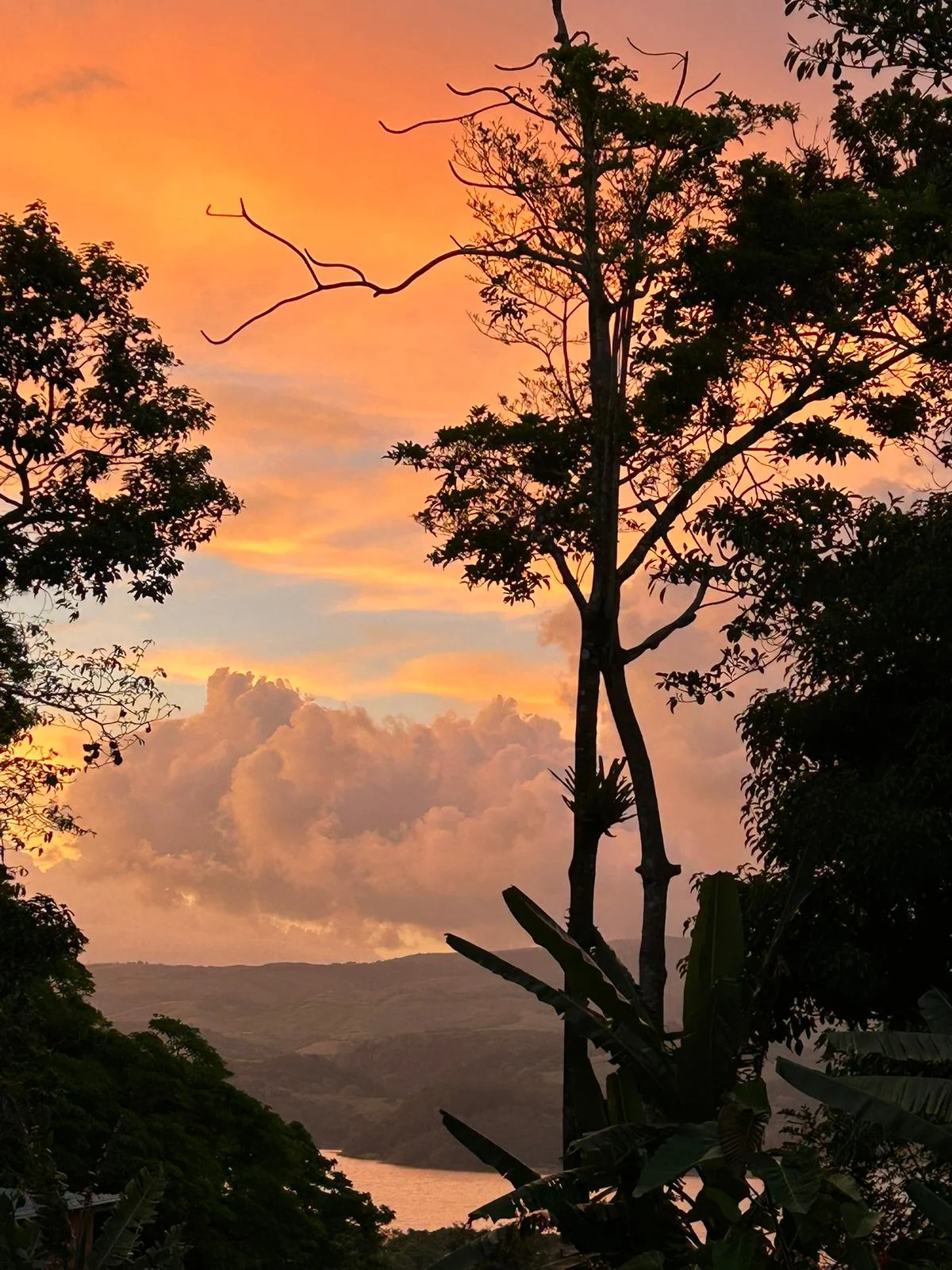 Peaceful 3BD / 2BA Home on 12164 m² (3.01 Acre) with Lake & Volcano Views  photo 29