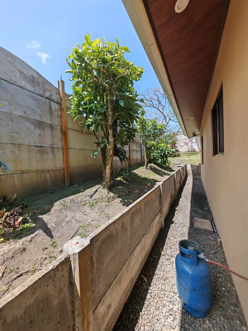 Lovely 3BD/2BA Home on 0.25 Acres with Security & Fruit Trees in Tronadora photo 30