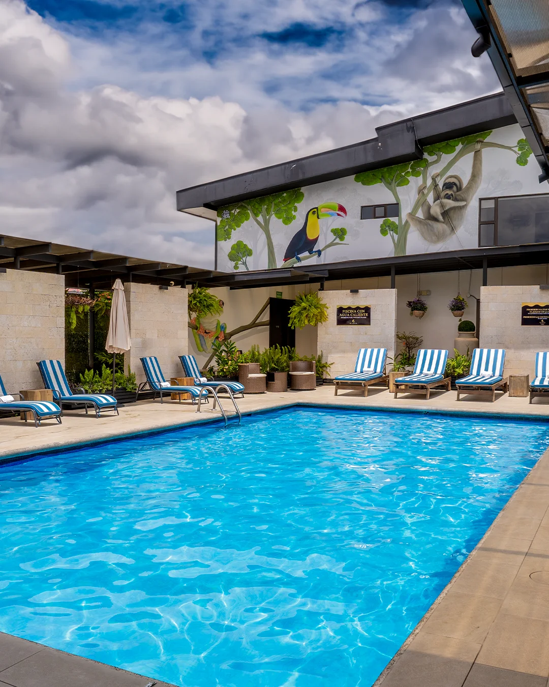 Mediterranean Dining in San Jose - Hero Background